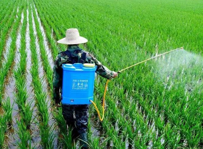 DPMA in pesticides